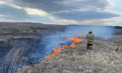 В Хотынецком районе поджог сухой травы мог обернуться трагедией
