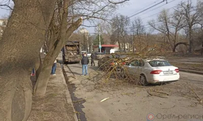 На ул. Полесской в Орле часть дерева упала на две машины