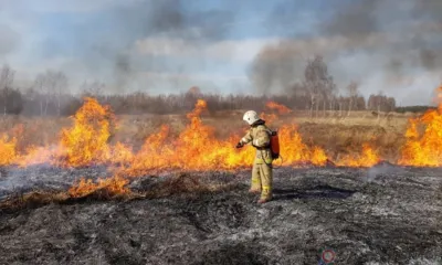 Орловские пожарные с начала апреля 800 раз выезжали на горение сухой травы