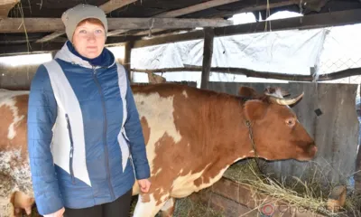 На развитие ЛПХ