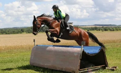 В Орловской области прошёл этап Кубка ЦФО по конному троеборью
