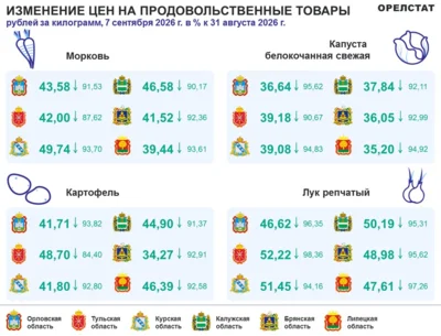 Фото 2. Динамика цен на продукты по данным Орёлстата за неделю