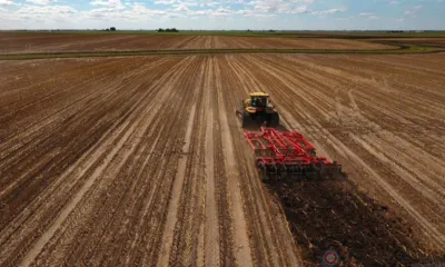 Региональный Фонд микрофинансирования оказывает господдержку орловским аграриям