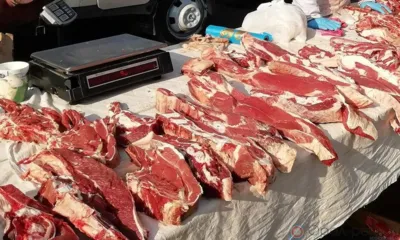 Россельхознадзор обнаружил многочисленные нарушения на ярмарке под Орлом