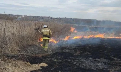 На Орловщине зафиксирована первая термоточка