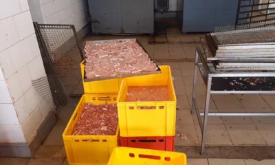 В Орле в мясных чипсах и тушёнке нашли сальмонеллу и кишечную палочку