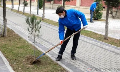 29 орловцев поучаствовали в оплачиваемых общественных работах с начала 2022 года