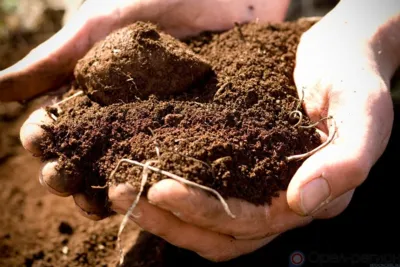 При разработке карьера под Орлом уничтожен плодородный слой почвы