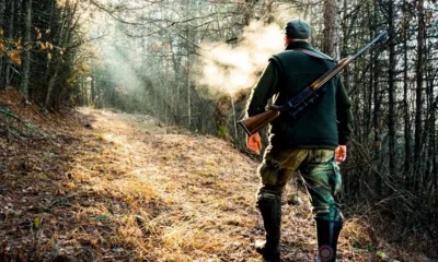 В Нарышкинском природном парке застрелили двух косуль и едва не убили человека