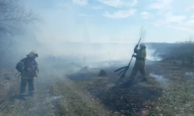 За сутки орловские пожарные 51 раз выезжали на тушение сухой травы