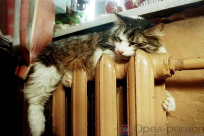 В Орле стартовал отопительный сезон