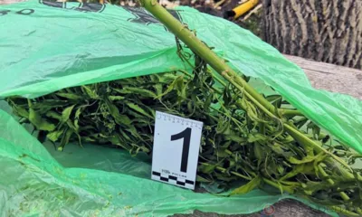У жителя Залегощенского района нашли свёрток с марихуаной