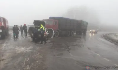В Орловской области Lada Kalina лоб в лоб столкнулась с КамАЗом