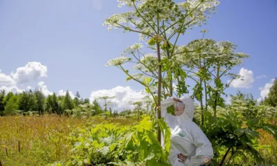 Рубрика «Компас в мире вопросов»