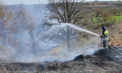 На Орловщине с начала года зафиксировано более 1000 случаев сжигания сухой травы