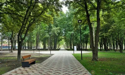 Парк Победы в Орле 5 августа ждёт посетителей