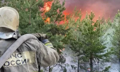 На Орловщине введён особый противопожарный режим