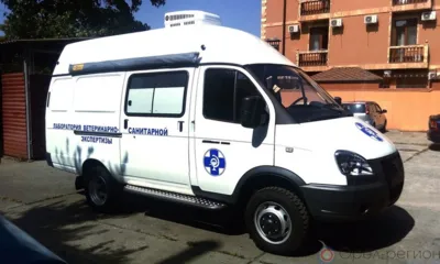 Более 203 млн рублей направят в этом году на развитие государственной ветеринарной службы