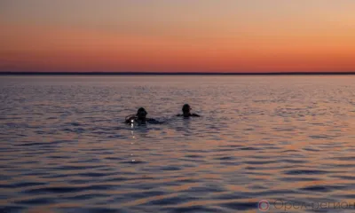 Орловские дайверы исследуют южную часть Ладожского озера