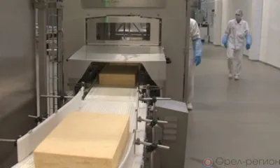Орловские сырные перспективы