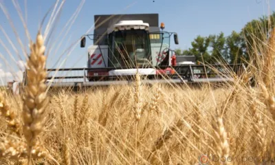 Орловские аграрии собрали три миллиона тонн зерна