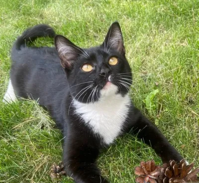 Юрий Парахин поблагодарил орловцев за найденного Пушка