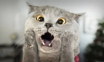 17 февраля в Орле на ул. Комсомольской 15 домов останутся без отопления, ещё 29 - без горячей воды