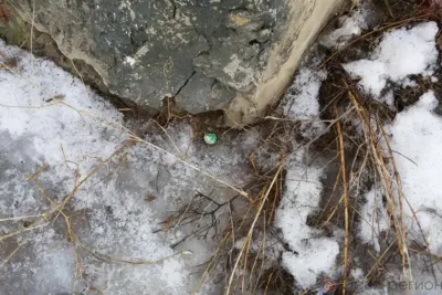 Орловца подозревают в попытке сбыта «синтетики» бесконтактным способом