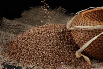 Из Орловской области в Китай отправили партию гречневой лузги