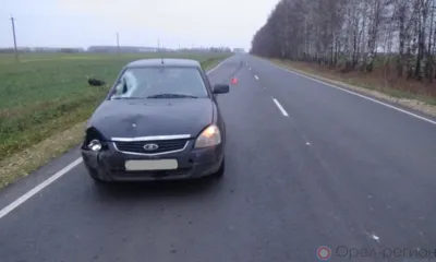 Под Орлом ВАЗ столкнулся с лосем