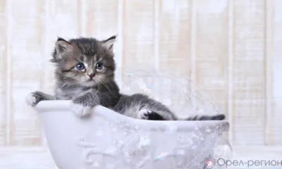 8 июня в пяти домах на Московском шоссе в Орле отключат холодную воду