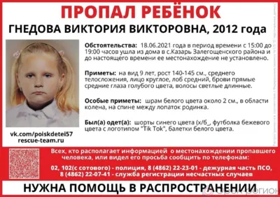 Орловским СК по факту исчезновения ребёнка возбуждено уголовное дело