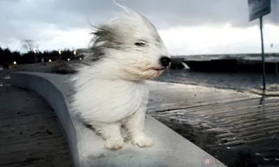 На Орловщину идут дожди, грозы и штормовой ветер