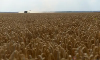 Труженики орловского АПК отмечают профессиональный праздник