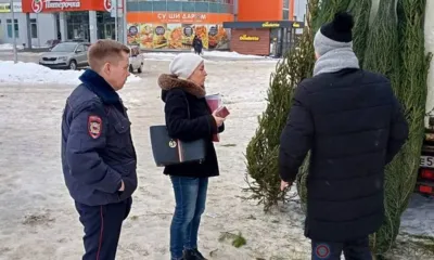 В Северном районе Орла нашли места несанкционированной торговли ёлками