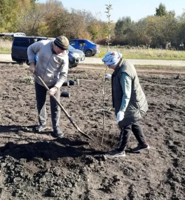 Фото 2. Памятный фруктовый сад заложили в Покровском районе
