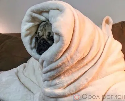 Орловцам сегодня отключат горячую воду и отопление