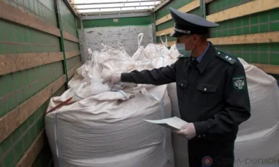 В Орловской и Курской областях выявили более 200 нарушений в «зерновой» сфере