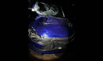 Под Орлом водитель насмерть сбил пешехода и скрылся с места ДТП