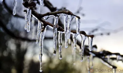 Орловцев ждёт тёплая рабочая неделя