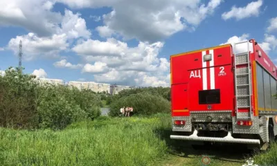 На пруду в Орле спасли тонущего ребёнка