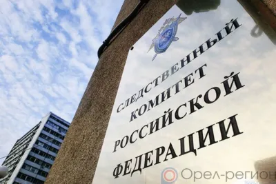 В Орловской области на 18,5% снизилось количество убийств