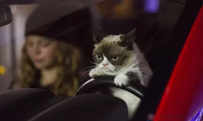 В Орле до 17 февраля ограничат движение по Тургеневскому мосту