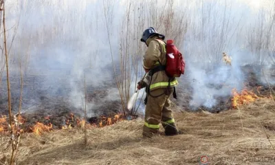 На Орловщине зафиксирован случай загорания сухой травы зимой