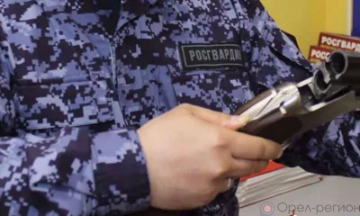 Новости Росгвардии: орловец нашёл в диване четыре иностранных ружья