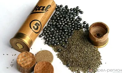 Болховчанина осудили за изготовление и продажу оружия и патронов