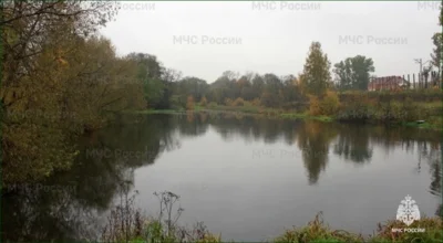 В Мценском районе в пруду утонула 74-летняя женщина