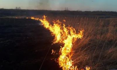 Остановим палы сухой травы вместе!