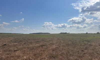 Орловский Россельхознадзор заставил арендатора вернуть в оборот около 400 га сельхозземель