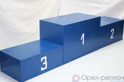 Орловские каратисты завоевали шесть медалей на всероссийских юношеских играх боевых искусств